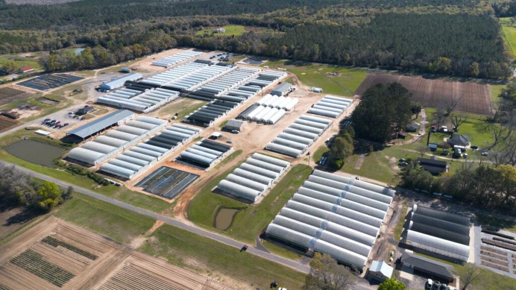 Emerald Coast Growers celebrates 35 years