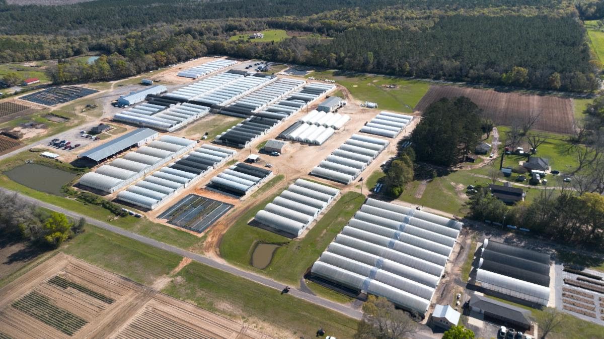 Emerald Coast Growers property aerial photo of greenhouses