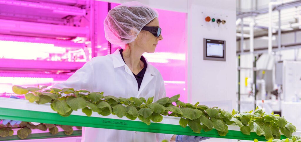 Premier Tech enters vertical farming market with Inno-3B, Artechno deals