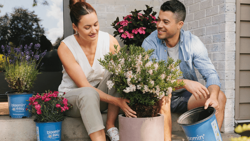 Bloomin’ Easy partners with Pacific Plug & Liner to expand perennial supply