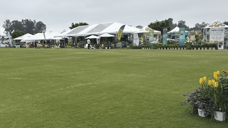 California Spring Trials 2026 reports increased attendance