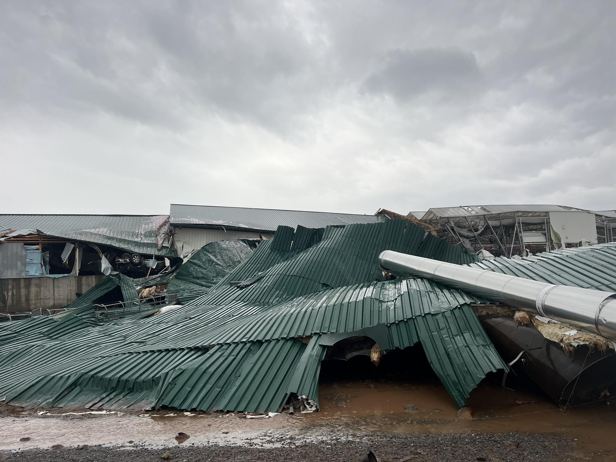 Collapsed building at a plant nursery