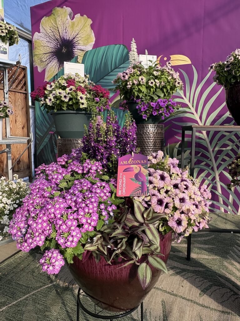 display of flowering plants
