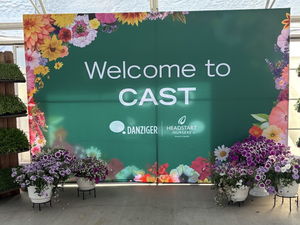 Welcome to CAST sign