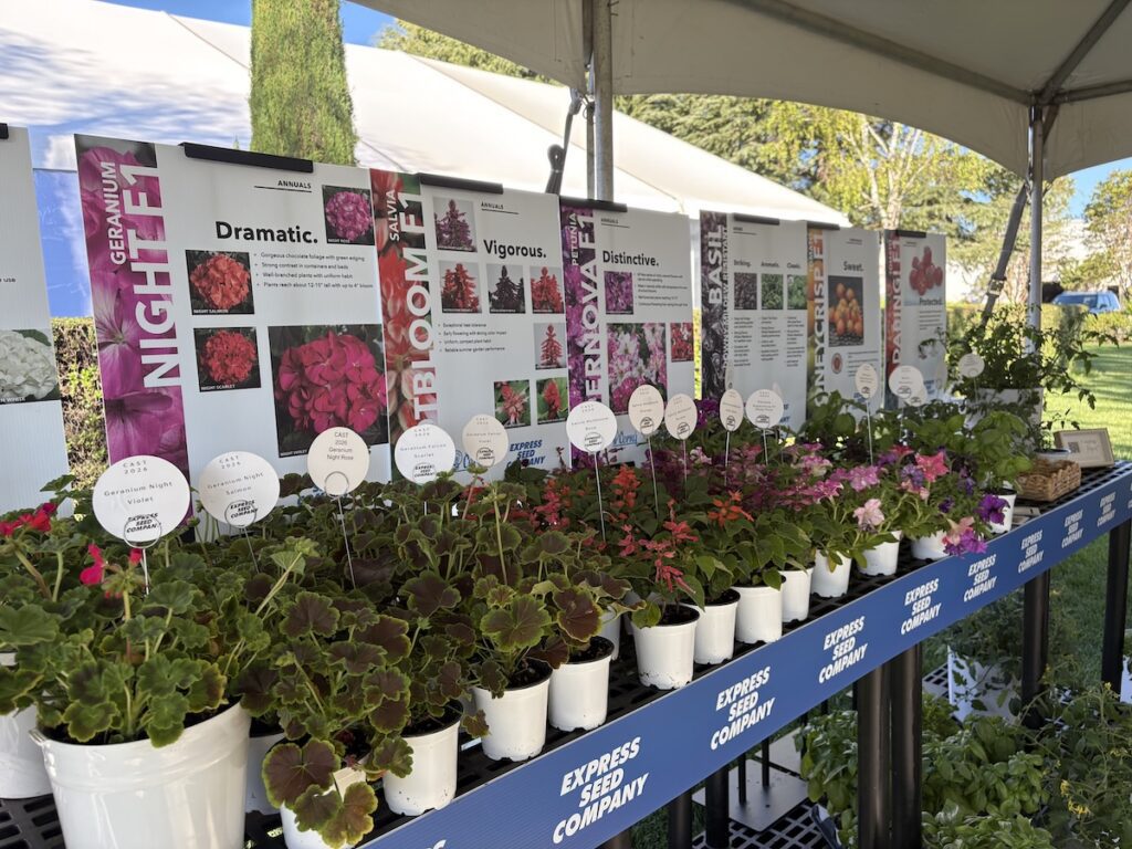 potted plants on display at event