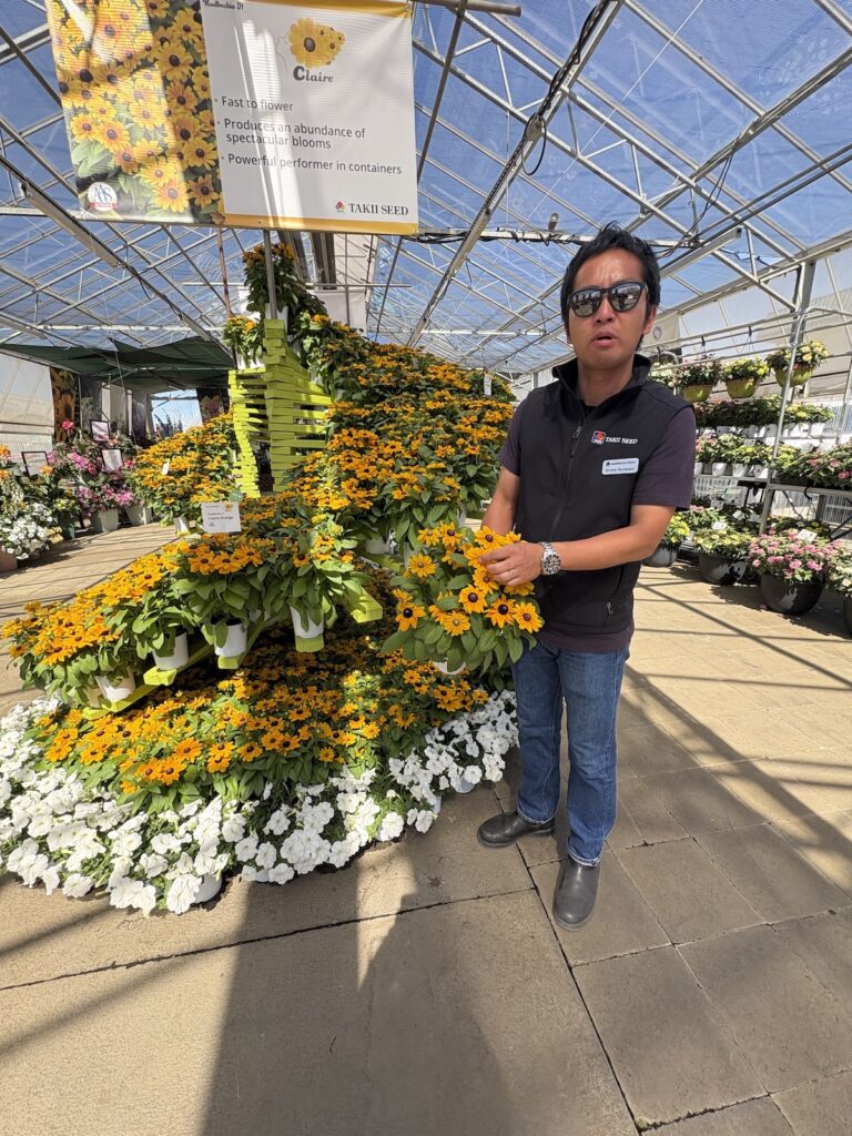 man holding potted rudbeckia plant, standing in front of display