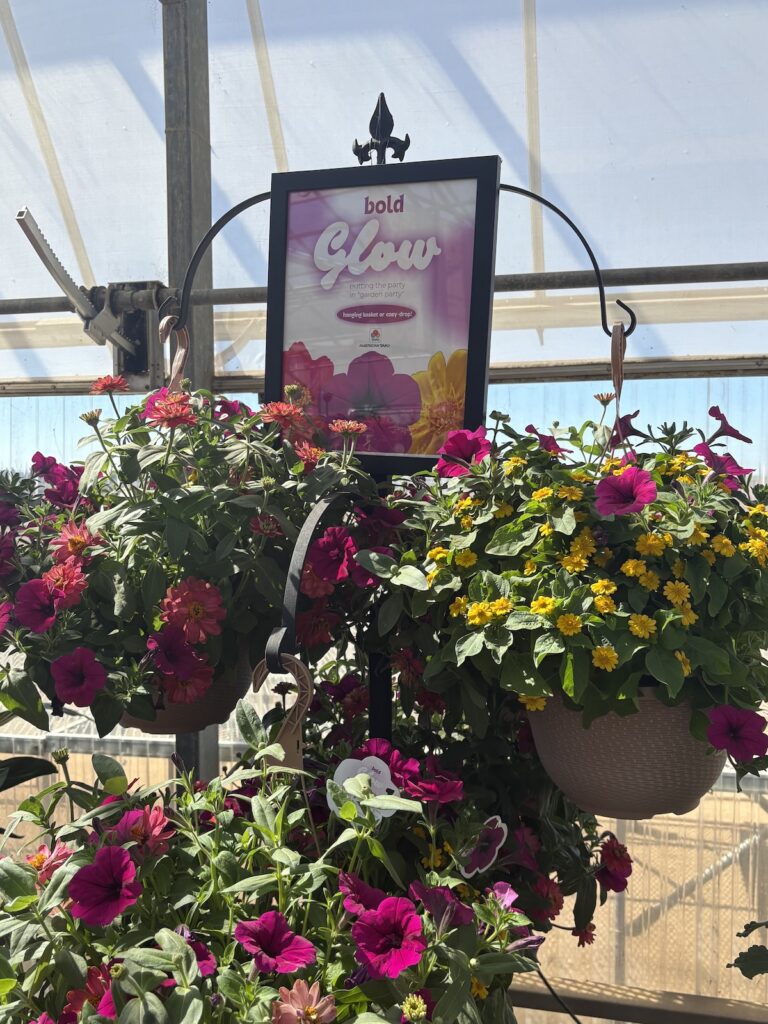 display of flowering plants