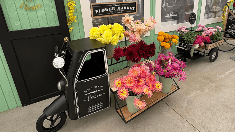 Mother’s Day 2026 spending to hit a record $38B