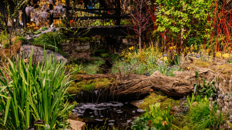 PHS names top global gardening trends from the 2026 Philadelphia Flower Show