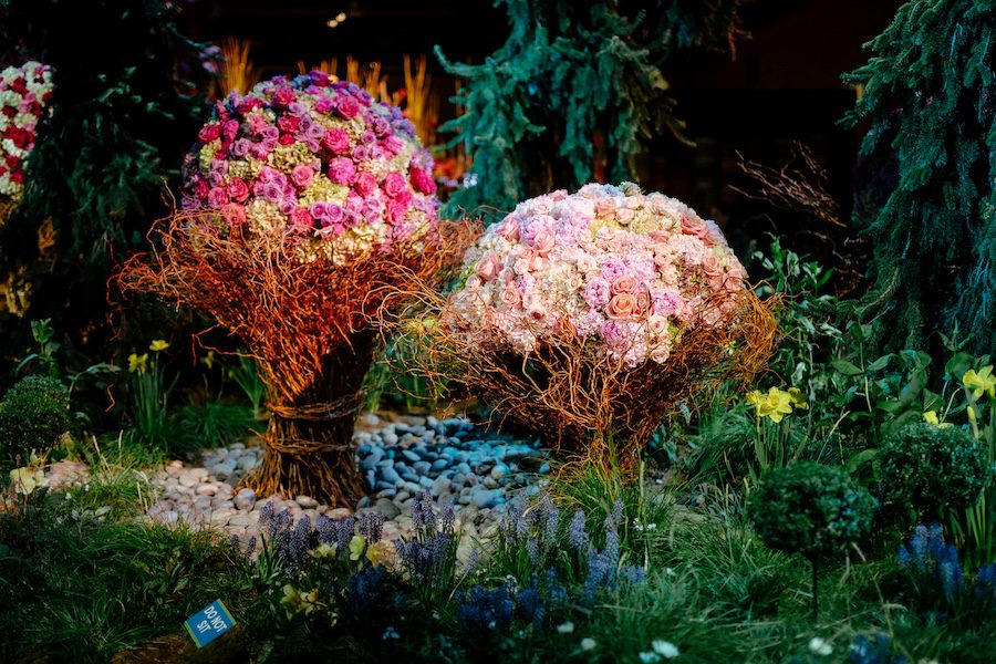 floral display showing rounded forms