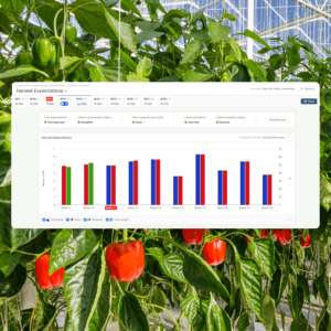 Source.ag launches AI harvest forecasting tool for pepper growers