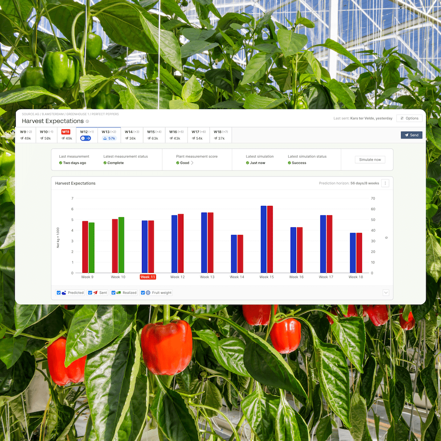Source.ag launches AI harvest forecasting tool for pepper growers