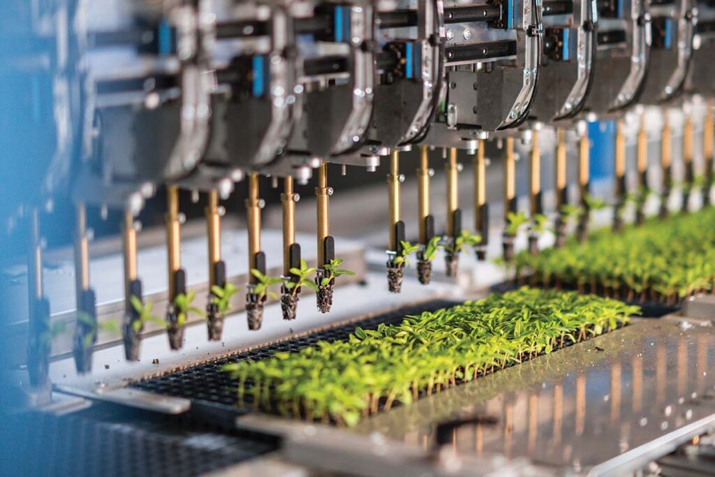 automated plug transplanting machine