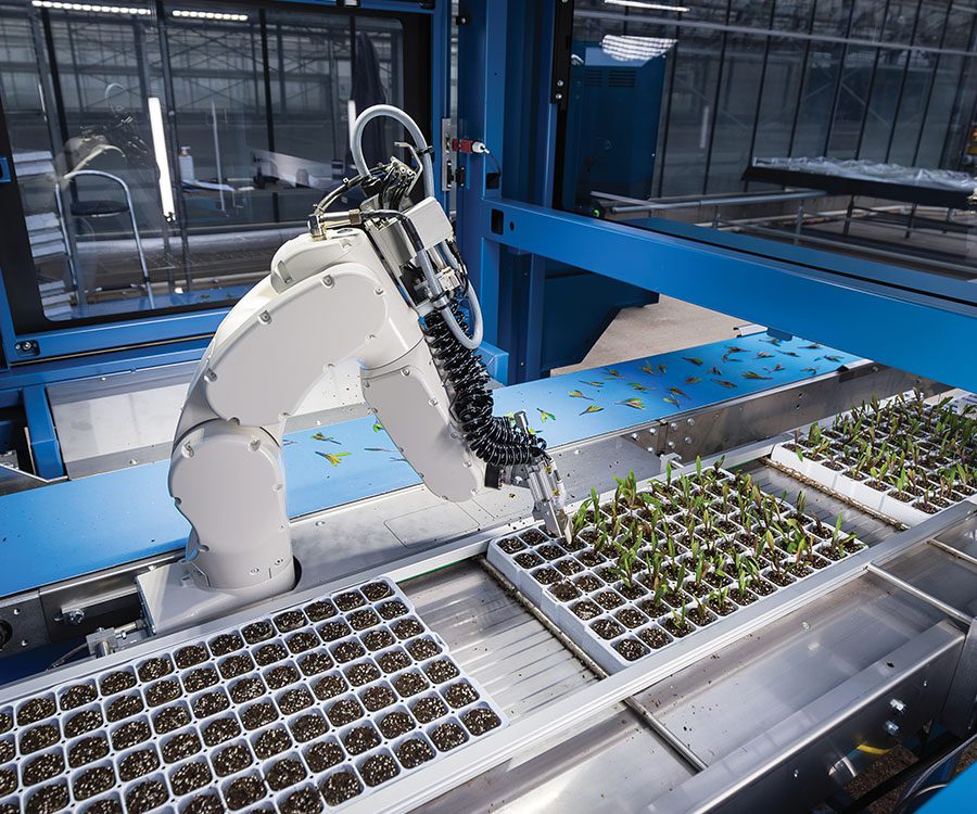 Greenhouse tech becomes essential infrastructure