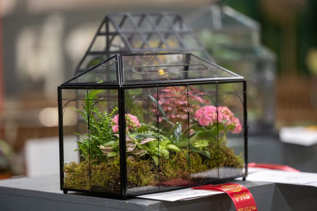 terrarium with award ribbon 