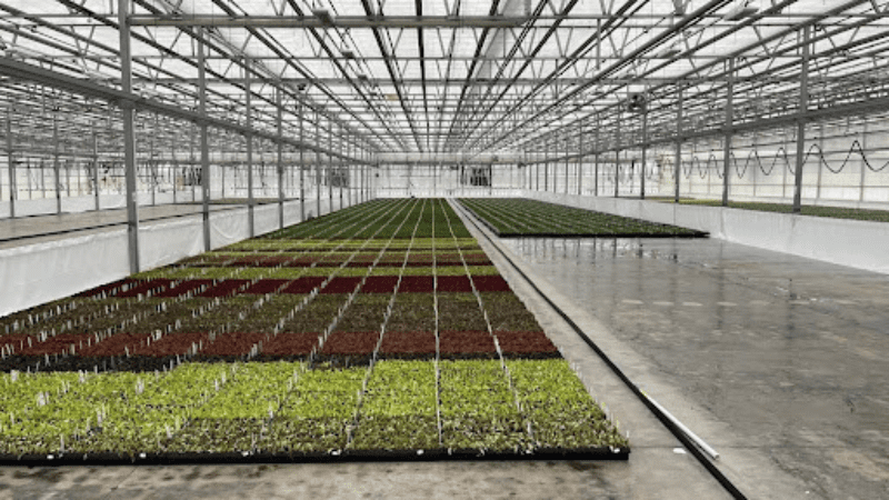 University of Florida updates Nursery 101 online course with new modules