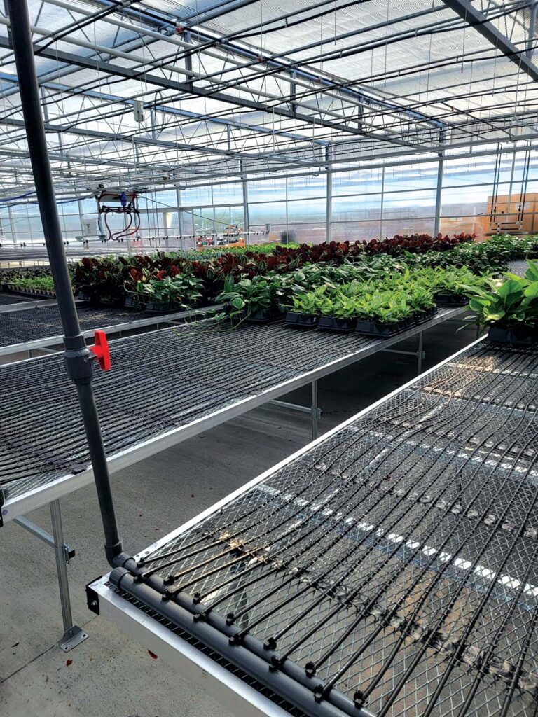 greenhouse bench heat lines