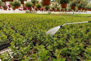 UF/IFAS launches free irrigation training series for greenhouse and nursery staff