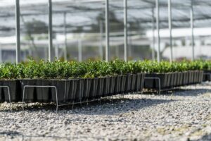 Air Tray Technologies nominated for GreenTech Amsterdam 2026 Innovation Award