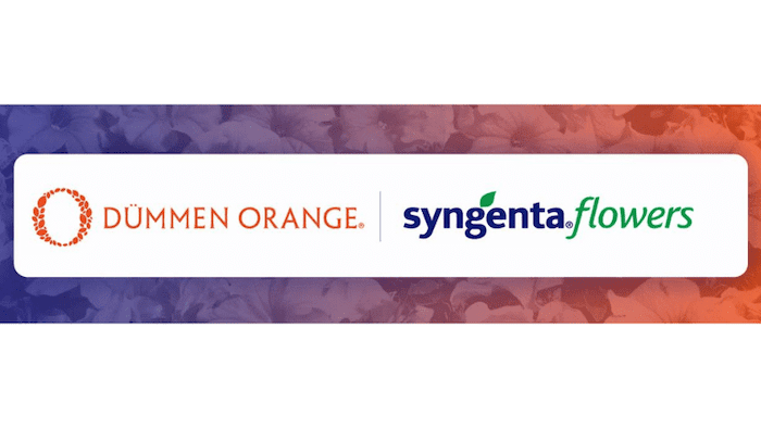 Dümmen Orange, Syngenta Flowers plan combined ornamental company