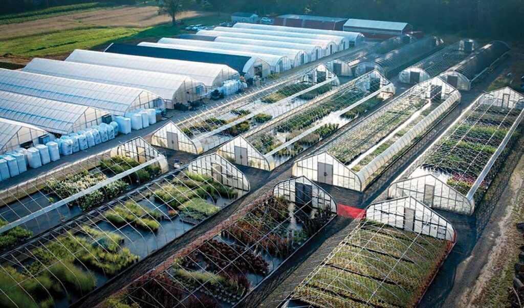drone shot of many greenhouses in a row