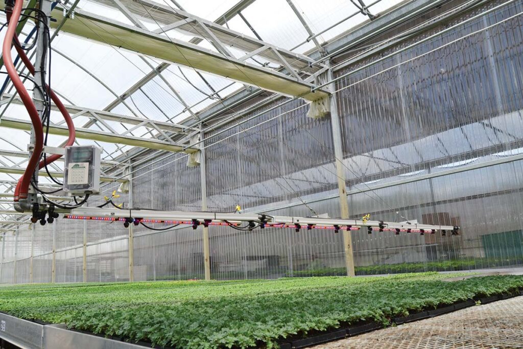 overhead irrigation system inside a greenhouse