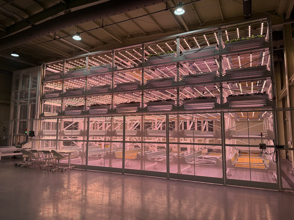 Signify boosts crop productivity and cost competitiveness at Yonam University smart farming hub with intelligent Philips LED lighting