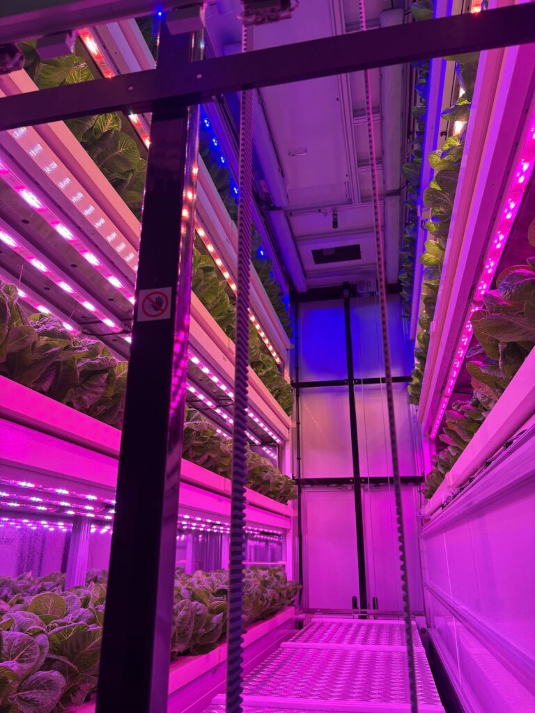 Signify boosts crop productivity and cost competitiveness at Yonam University smart farming hub with intelligent Philips LED lighting