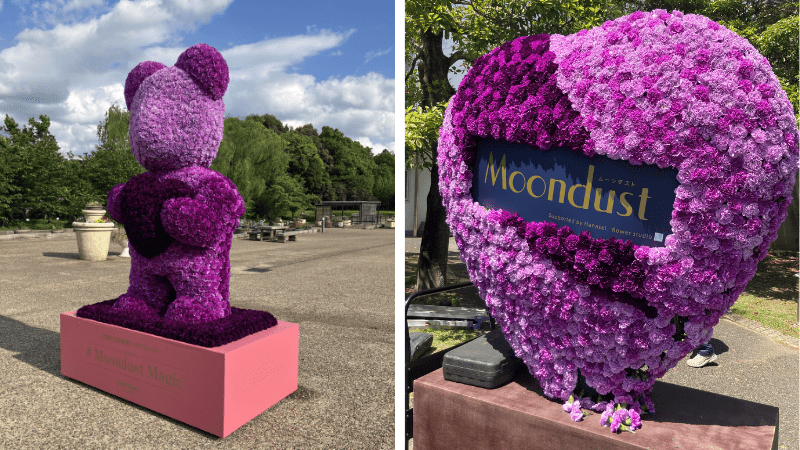 Suntory Flowers Japan installs carnation displays for Mother’s Day