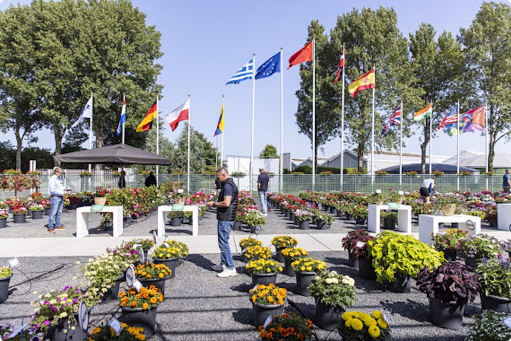 outdoor flower area at event