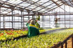 How is labor impacting your operation? Take GPN’s 2026 Labor Survey
