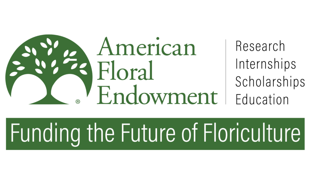 AFE announces 2026 internship scholarship recipients