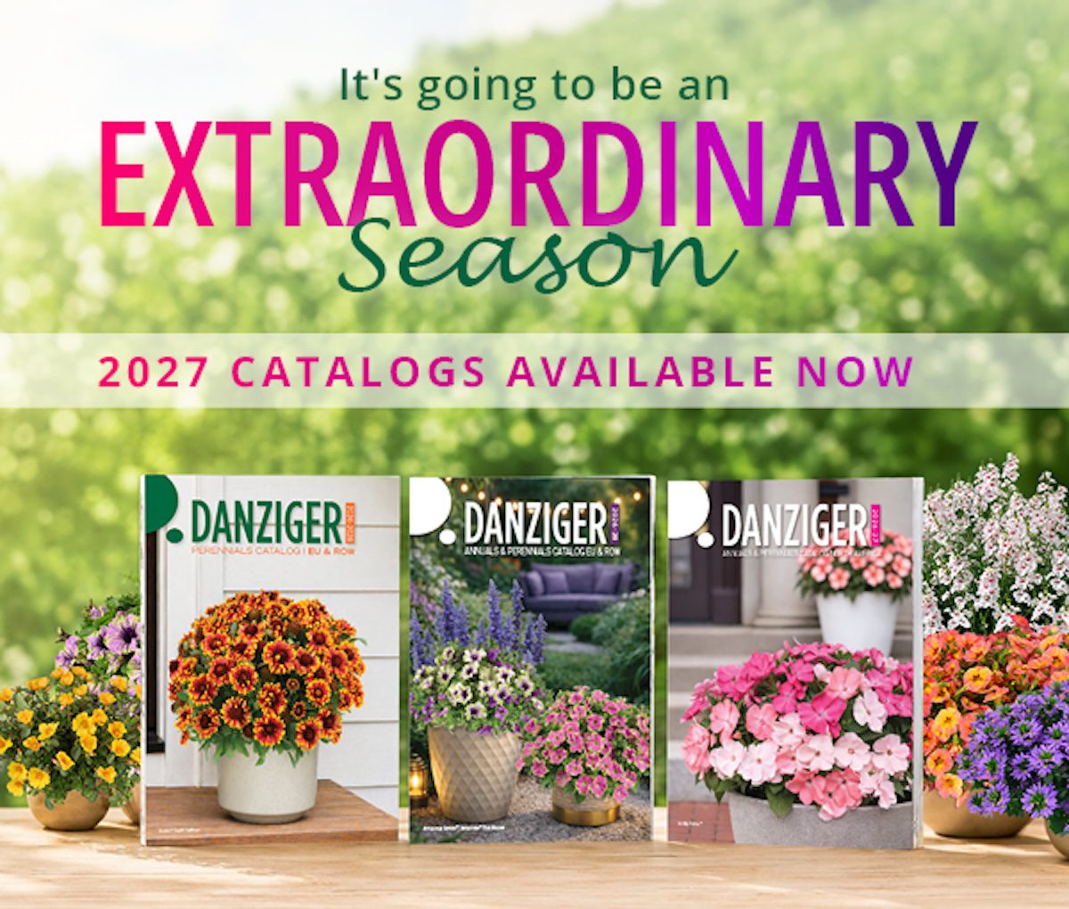 new floral catalogs