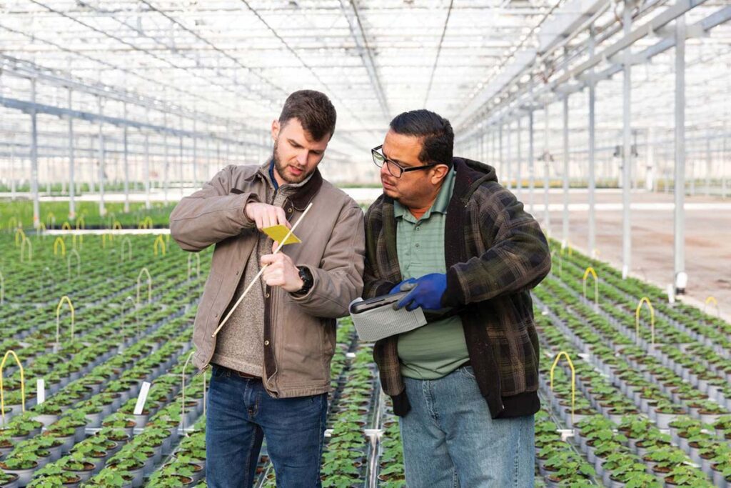 Two men in a greenhouse 