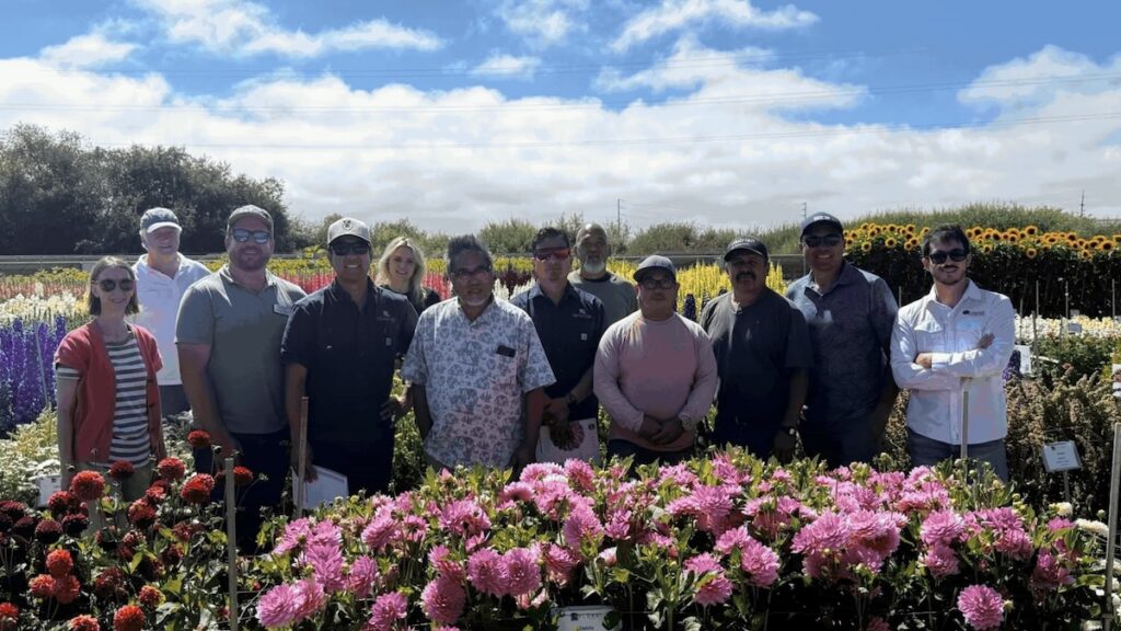 people reviewing flower trial beds