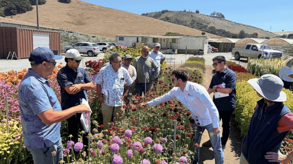people reviewing flower trial beds