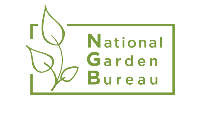 NGB marks America’s 250th anniversary with member company legacy campaign