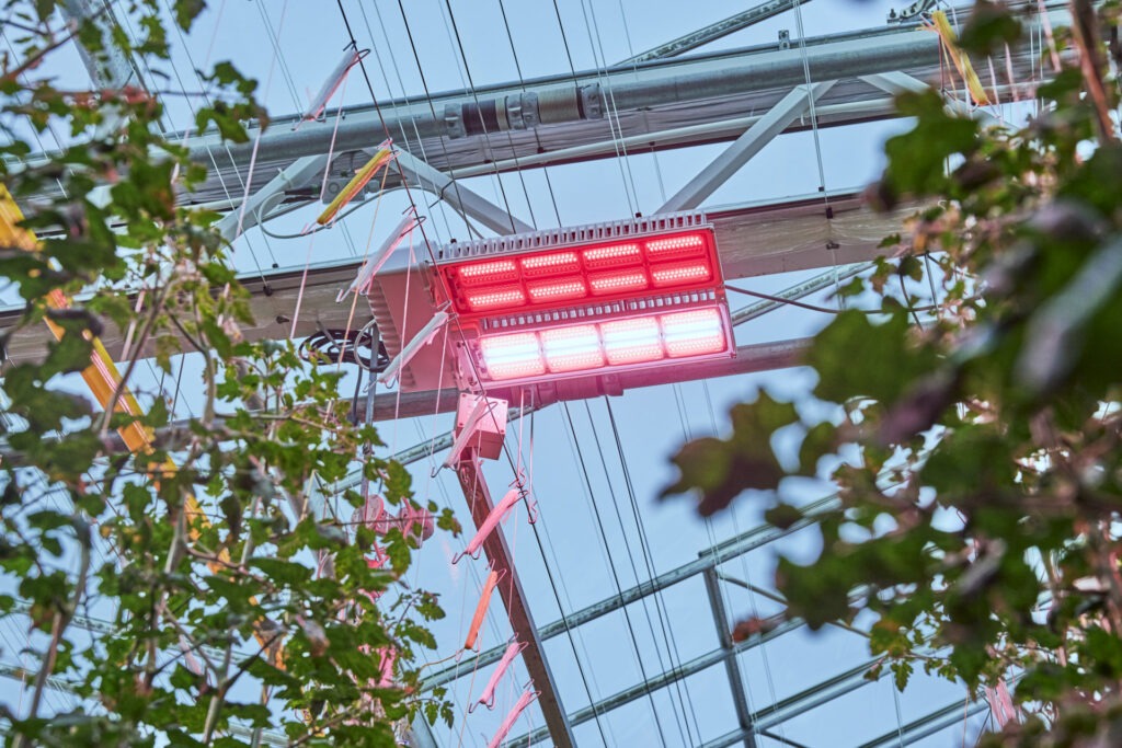 Signify adds performance and elite options to Philips GreenPower LED toplighting force line