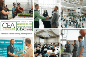 CEA Summit East announces 2026 Extension professional scholarship program