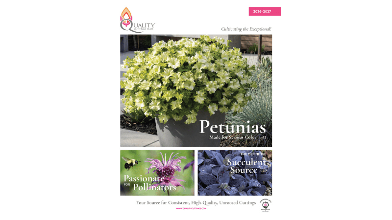 Quality cuttings releases 2026-2027 catalog