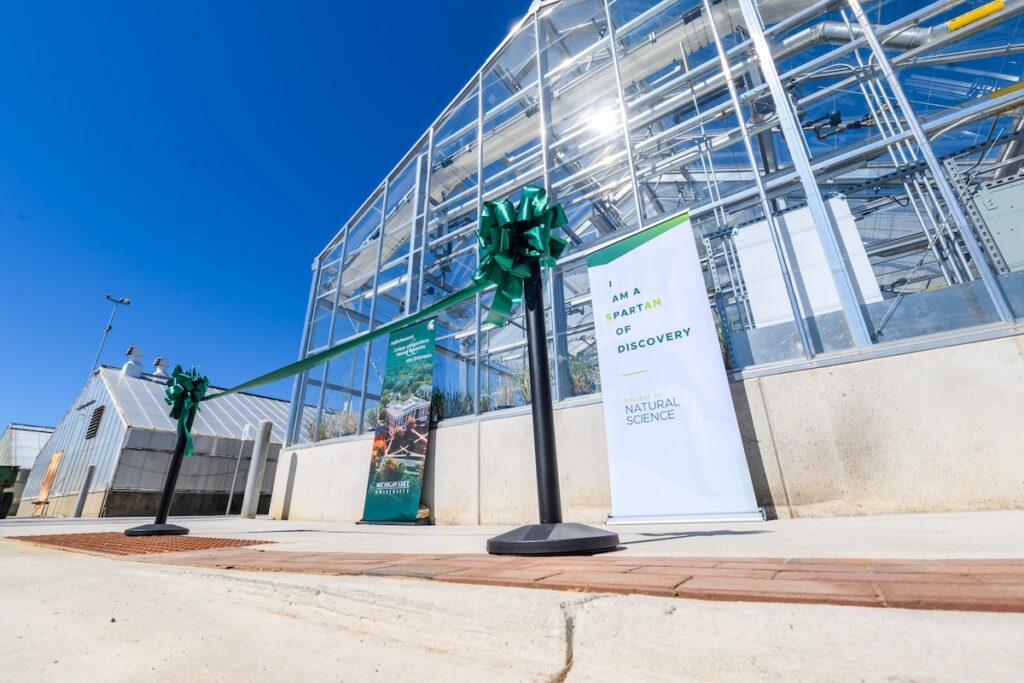 Renovated MSU research greenhouses expand plant science capabilities
