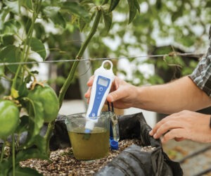 Smart growing solutions: Technologies designed to help growers improve efficiency and production management