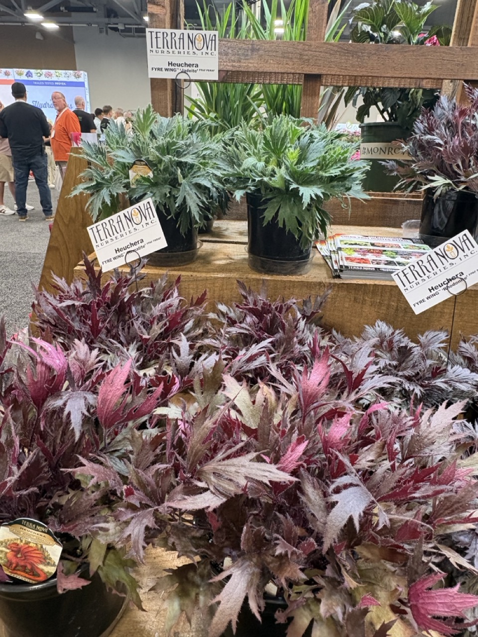 Terra Nova Nurseries Retailers' Choice Awards at Cultivate'26 Large