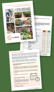 screenshots of new template from Sustainabloom