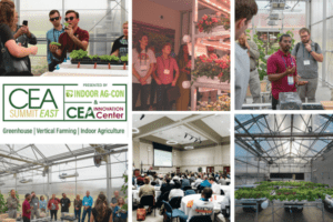 CEA Summit East 2026 announces conference program for September event