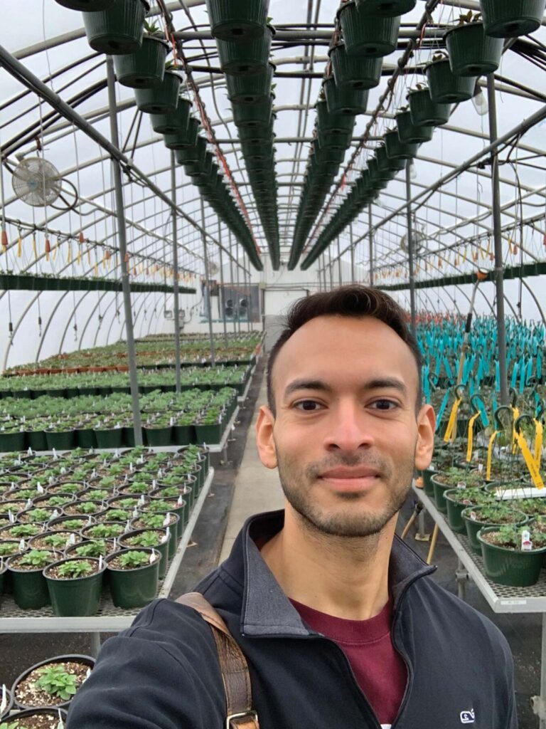 man in greenhouse