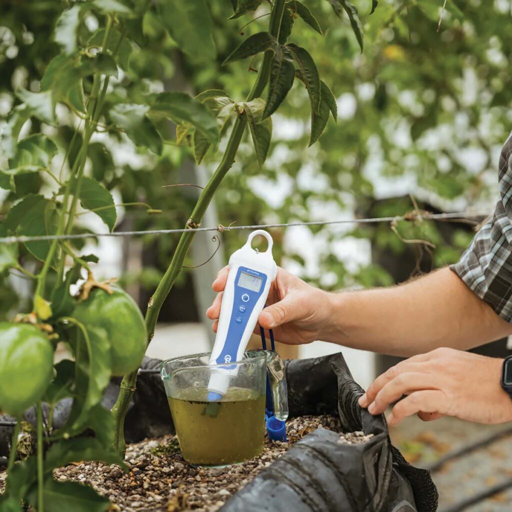 hand holding pH pen testing water in greenhouse near tomato plants