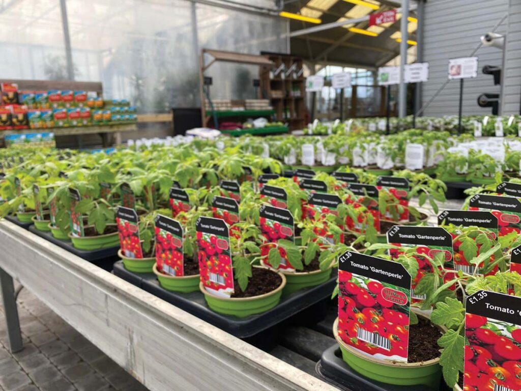 plants on greenhouse bench with label tags