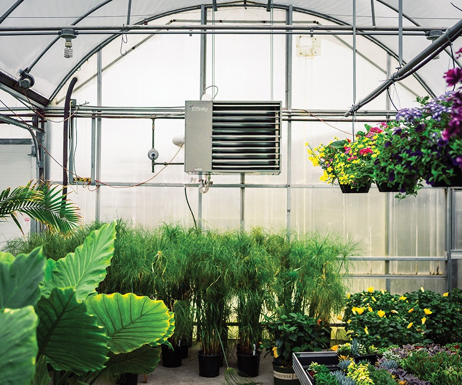 Greenhouse heating upgrades without the headache