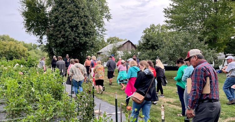 a group of people looking at flowers